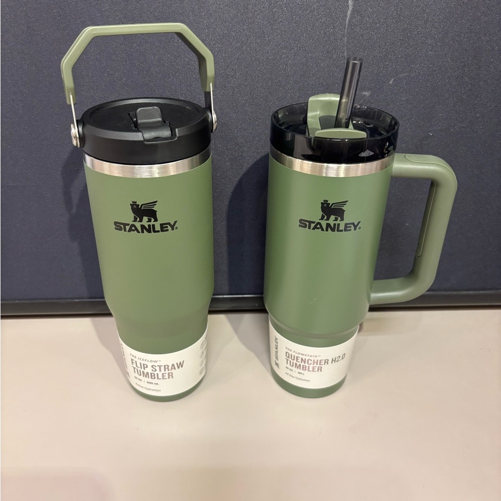 Stanley Green Tumbler Duo